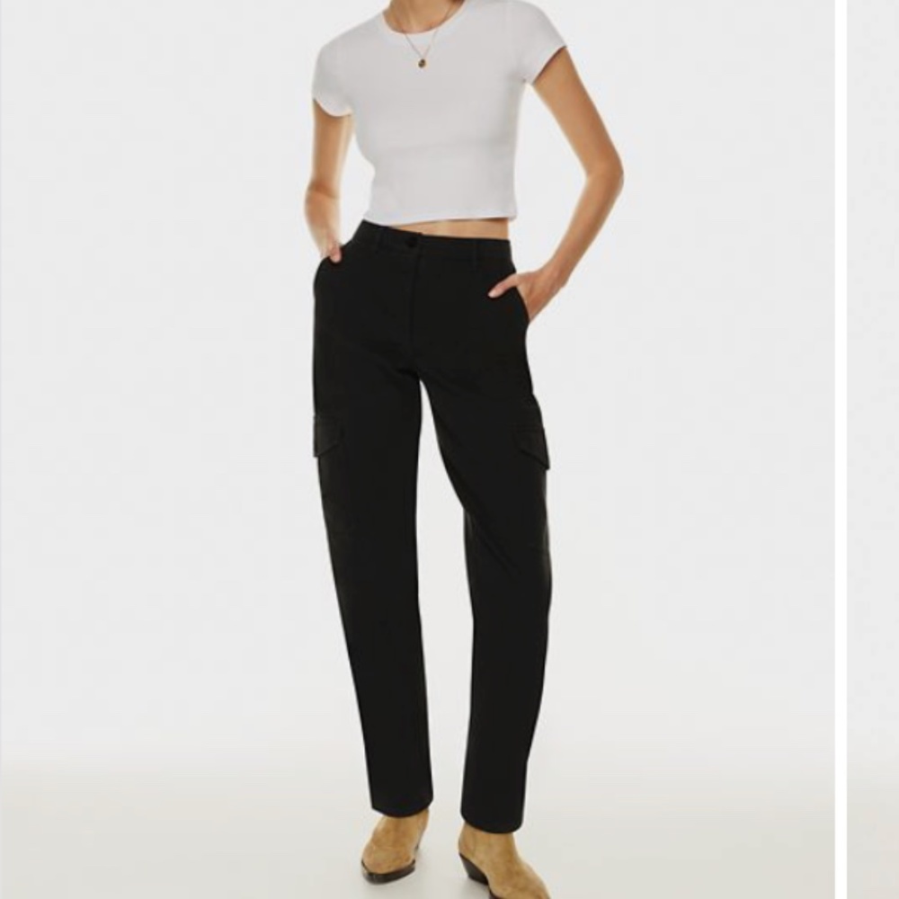 Aritiza Wilfred Free Modern Cargo Pant